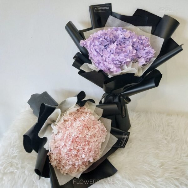 Preserved Hydrangea