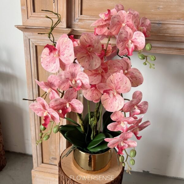 Artificial - Phalaenopsis Orchids - Image 2