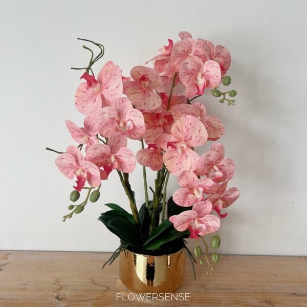 Artificial - Phalaenopsis Orchids