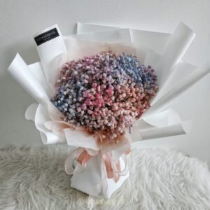 BABY BREATH – DREAMY